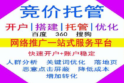 深度报告：专业SEM托管在各行业的成功应用